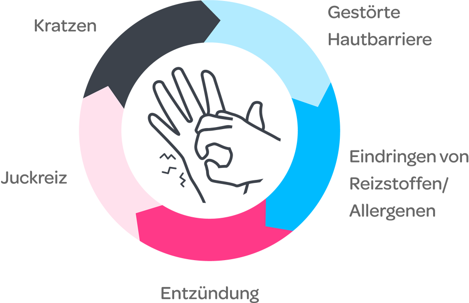 Grafik_Kreislauf_DE_RGB.png