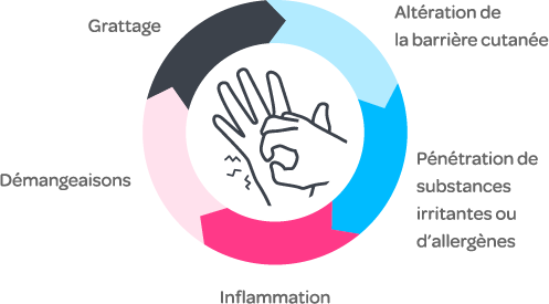 Grafik_Kreislauf_RGB_FR.png