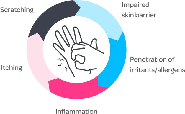 Mavena_Itchy Skin_Kreislauf_EN