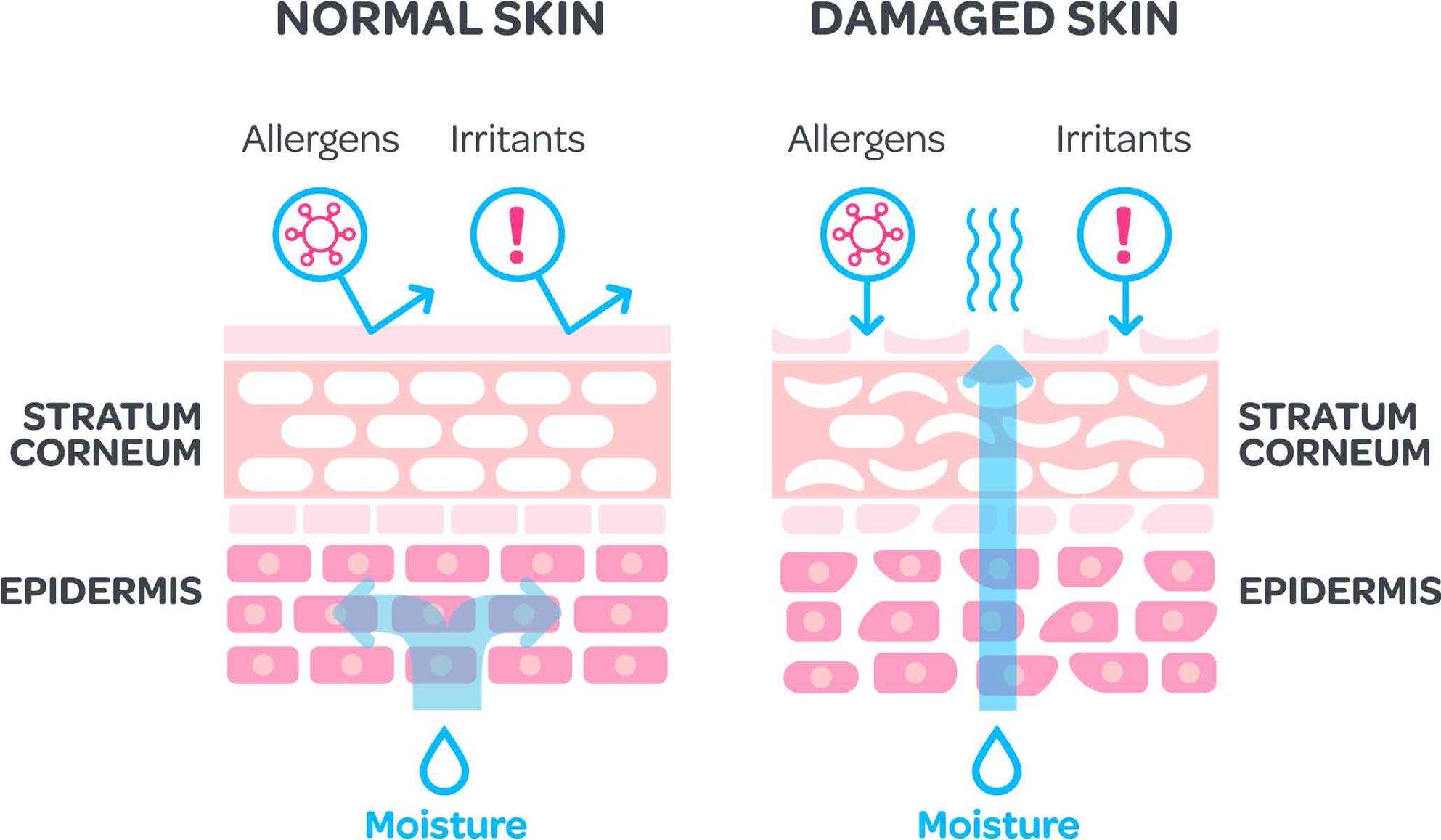 Mavena_Itchy skin_EN
