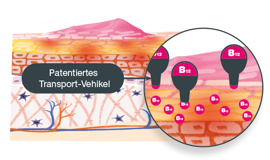Mavena_Neurodermitis_Patentiertes Transport-Vehikel