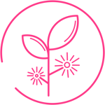 RZ_mavena_InhaltSymptomIcon_Hamamelis_RGB