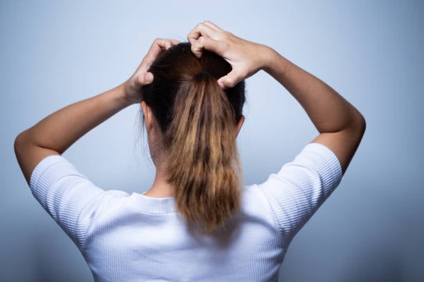 istockphoto-1064081770-612x612_alternative_header