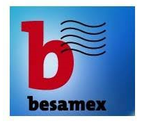 LOGO_Besamex_Mavena